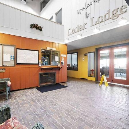 Cute Cedar Lodge Studio With Balcony & Lake Views! Laconia Ngoại thất bức ảnh